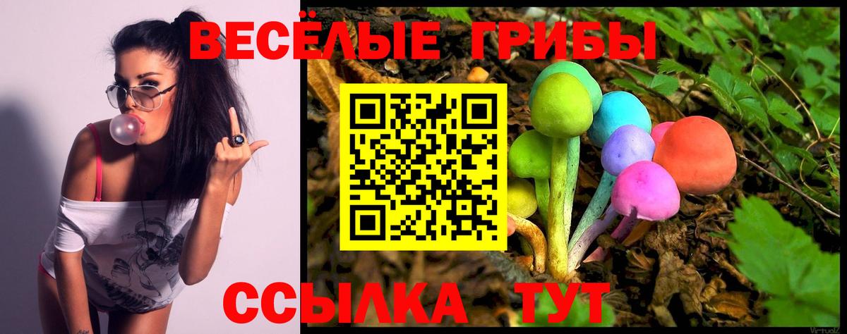 Псилоцибиновые грибы ЛСД Шатура