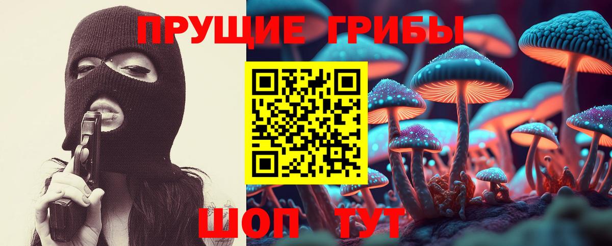 Псилоцибиновые грибы Magic Shrooms  Галлюциногенные грибы GOLDEN TEACHER  Вход с VPN  наркота  Шатура 